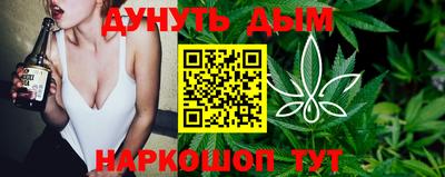 крисы Коммунар