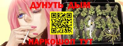 крисы Коммунар