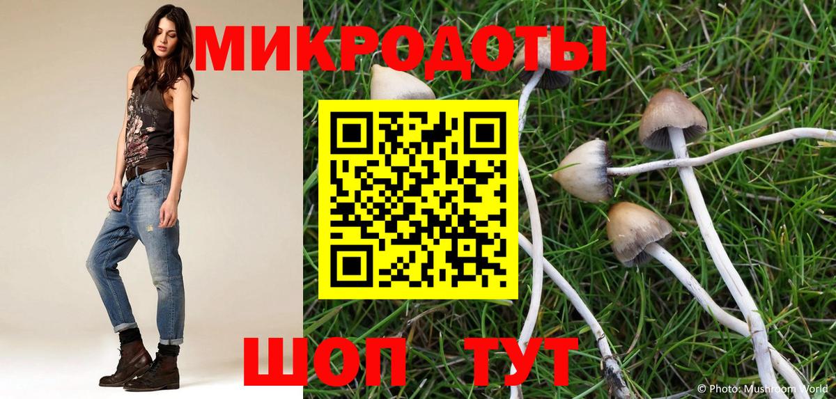 Карпинск  Псилоцибиновые грибы Cubensis  Вход с VPN 