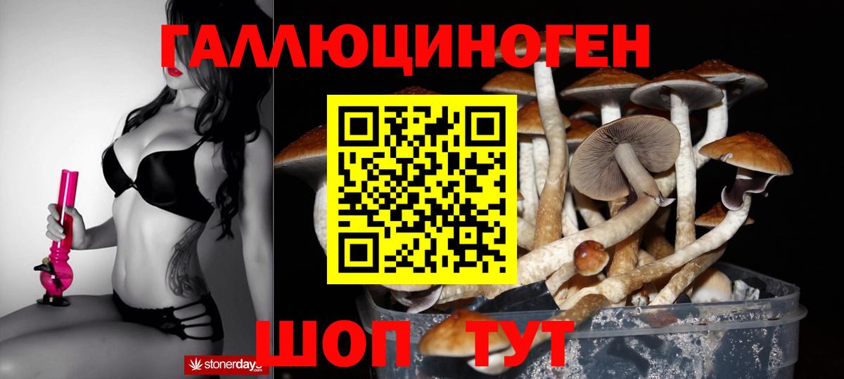 Галлюциногенные грибы Magic Shrooms Карпинск